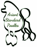 Ariant Standard Poodles